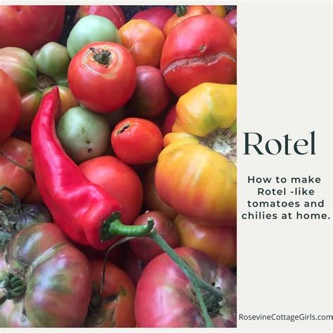 best-copycat-rotel-tomatoes-and-chilies image