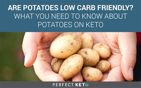 carbs-in-potatoes-do-potatoes-fit-in-a-ketogenic-diet image