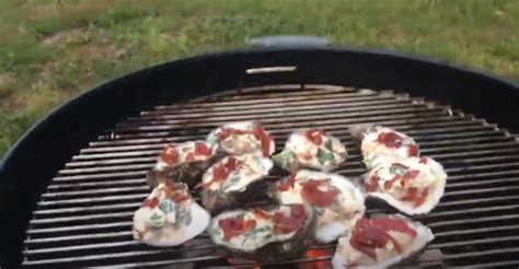 how-to-make-oysters-rockefeller-on-the-grill-stella image