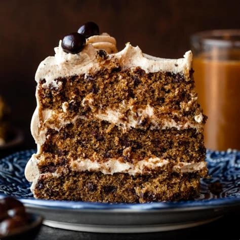 espresso-chocolate-chip-cake-sallys-baking-addiction image