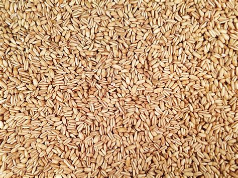 organic-toasted-oat-groats-grain-place-foods image