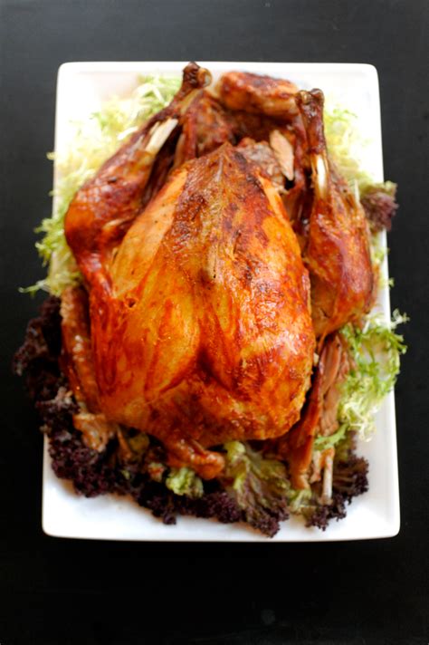 roasted-turkey-with-red-chile-gravy-chef-aarn-snchez image