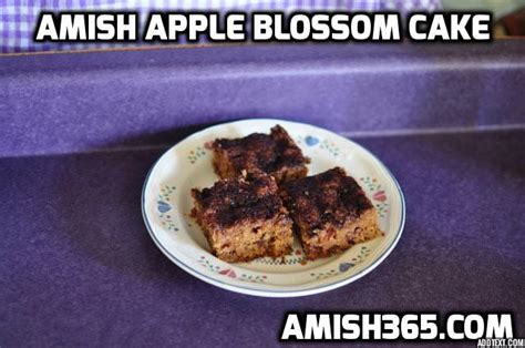 amish-apple-blossom-cake-amish-365 image