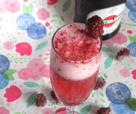 refreshing-blackberry-mimosa-recipe-diy-adulation image