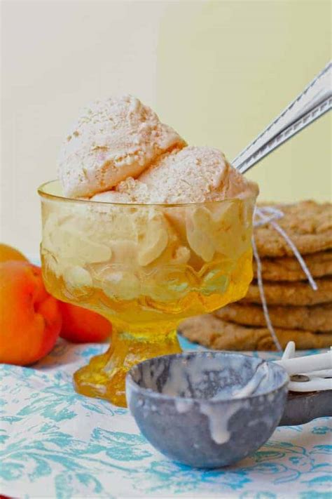a-taste-of-summer-biscoff-apricot-ice-cream-sandwiches image