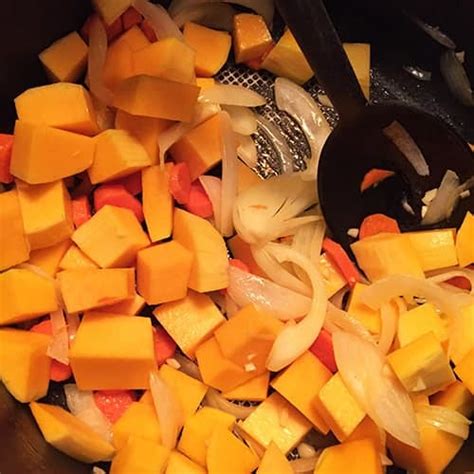 leftover-turkey-stew-with-butternut-squash-cooking-chat image