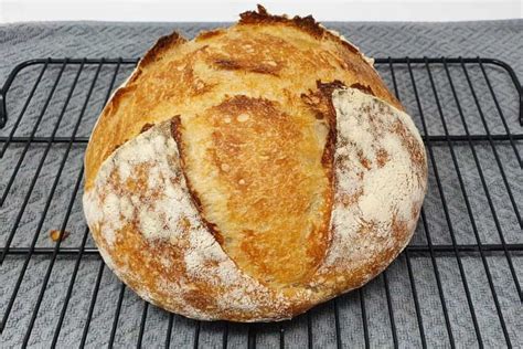 beginner-sourdough-bread-full-guide image