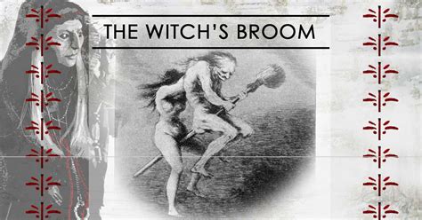 the-witchs-besom-how-to-craft-and-use-your-own-magical image