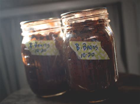 canned-baked-beans-food-preservation-with-cooking image