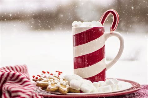 4-festive-christmas-eve-hot-cocoa-ideas-holidaysnet image