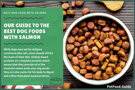 7-best-dog-foods-with-salmon-2022-top-rated-salmon image