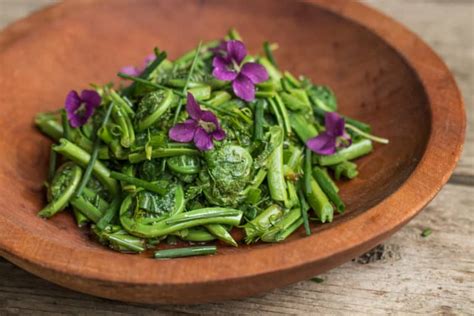 simple-fiddlehead-fern-salad-with-mint-forager image