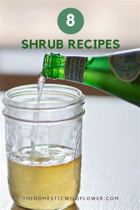 8-shrub-recipes-the-domestic-wildflower image