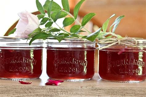 home-canning-rose-petal-jelly-recipe-walkerland image