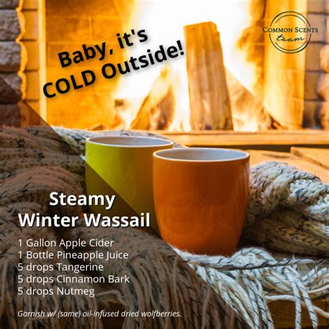 steamy-winter-wassail-common-scents-mom image