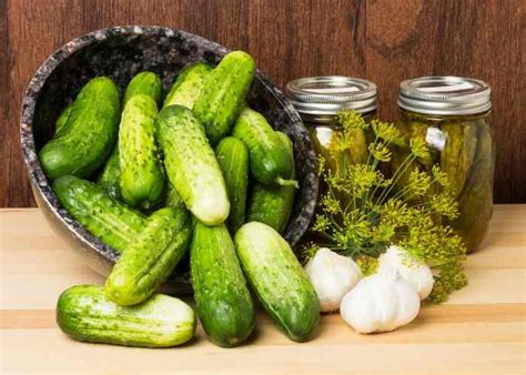 old-fashioned-dill-pickle-recipe-recipelioncom image