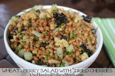 wheat-berry-salad-with-dried-cherries-one-hundred image