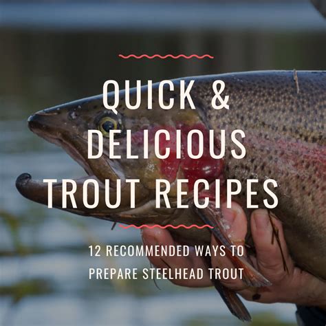 12-quick-delicious-trout-recipes-van-isle-marina image