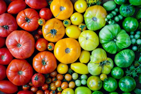 13-ways-to-eat-all-the-heirloom-tomatoes-this-summer image