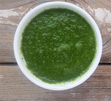 10-best-indian-green-mint-sauce-recipes-yummly image