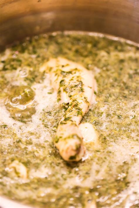 molokhia-stew-egyptian-jute-soup-chef-tariq image