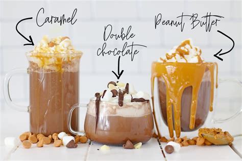 how-to-make-best-hot-cocoa-mix-ever-3-ways image