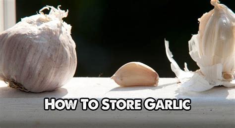 6-different-methods-for-storing-garlic-epic-gardening image