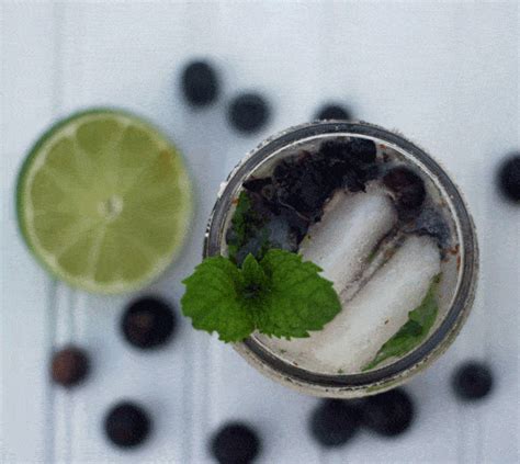 blueberry-mojito-recipe-the-blond-cook image