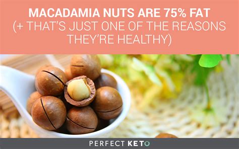 macadamia-nuts-what-you-need-to-know-about-this image
