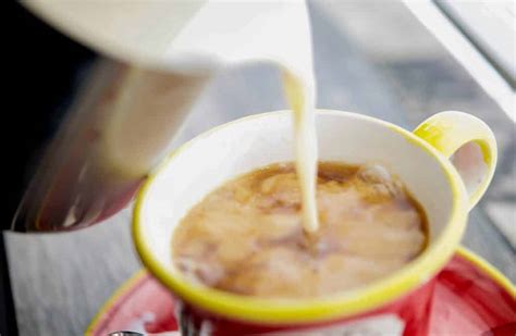how-to-make-your-own-low-fat-vanilla-coffee-creamer image