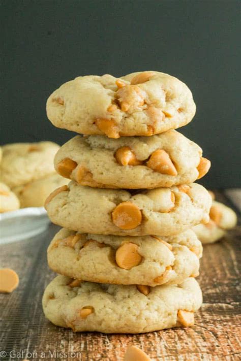 butterscotch-cookies-gal-on-a-mission image