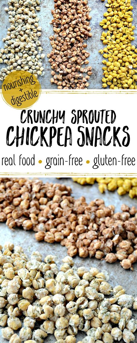 crunchy-sprouted-chickpea-snacks-3-ways-all-the image