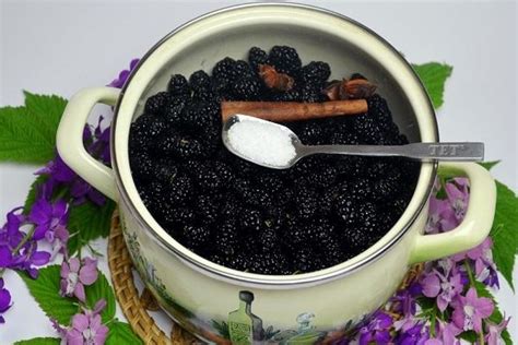 homemade-mulberry-wine-a-simple-step-by-step image