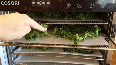 how-to-make-kale-chips-in-a-food-dehydrator-stocking image
