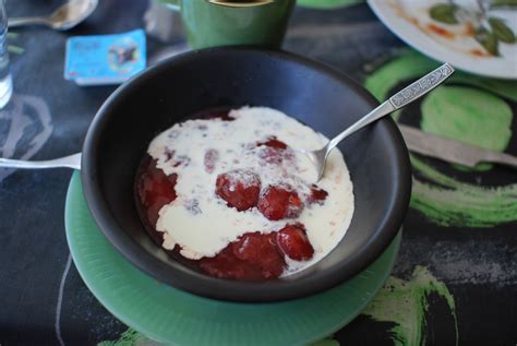 danish-red-berry-pudding-rdgrd-med-flde image