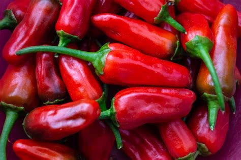 peri-peri-pepper-guide-heat-flavor-uses-pepperscale image