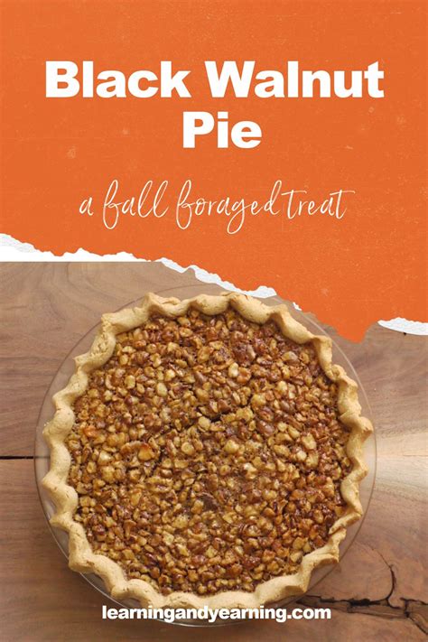 black-walnut-pie-a-wonderful-fall-foraged-treat image
