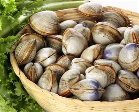 roasted-clams-with-garlic-lemon-and-red-pepper image