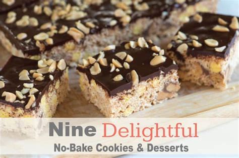 nine-delightful-no-bake-cookie-and-dessert image