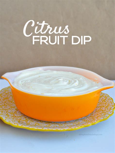citrus-fruit-dip-thirty-handmade-days image