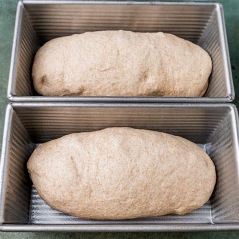 whole-wheat-sourdough-bread-tastes-of-lizzy-t image
