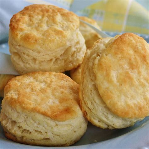 25-homemade-biscuit-recipes-to-make-from-scratch image