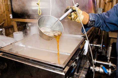 make-your-own-maple-syrup-the-cooks-cook image