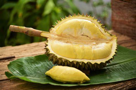 10-mouth-watering-recipes-with-durian image