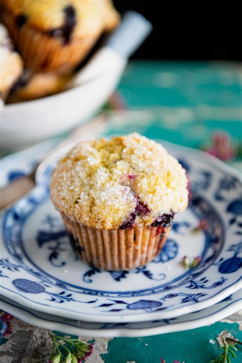 sour-cream-blueberry-muffins-the-seasoned-mom image