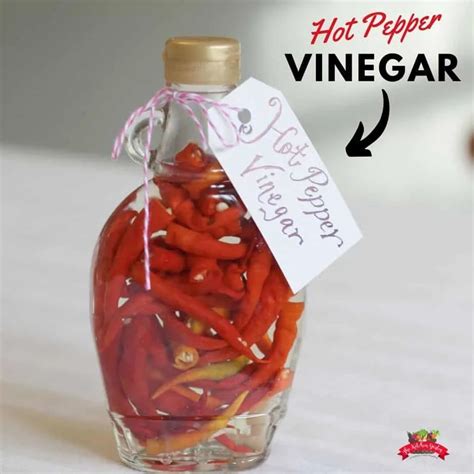 quick-and-easy-hot-pepper-vinegar-the-kitchen-garten image