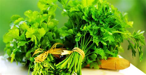 how-to-use-fresh-parsley-in-your-daily-food-diet image