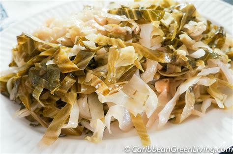 warm-cabbage-salad-recipe-caribbean-green-living image