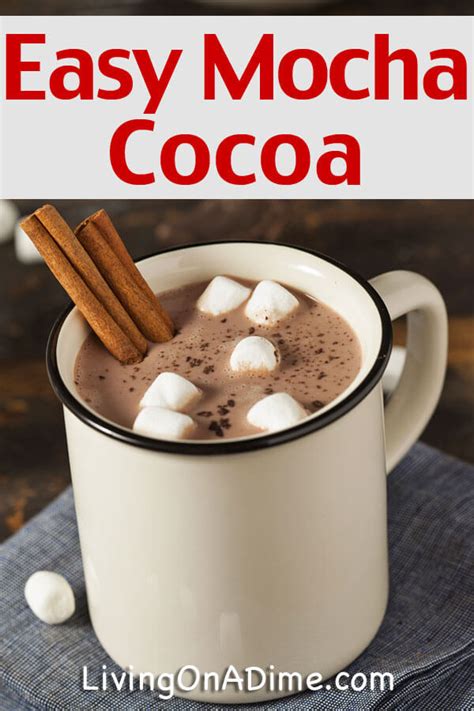 mocha-cocoa-recipe-living-on-a-dime image