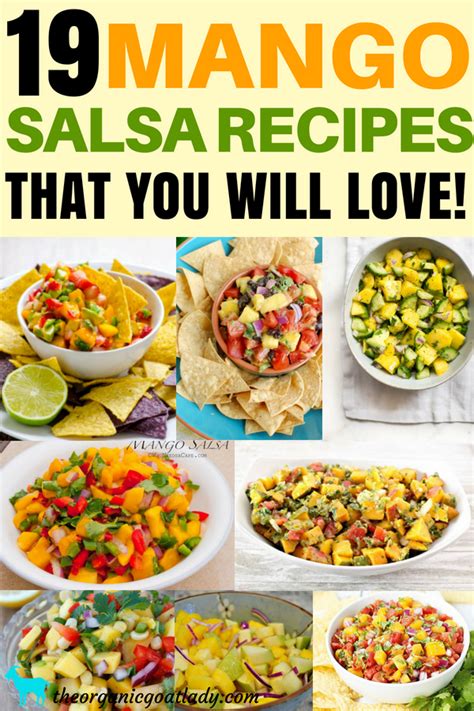 19-mango-salsa-recipe-ideas-the-organic-goat-lady image